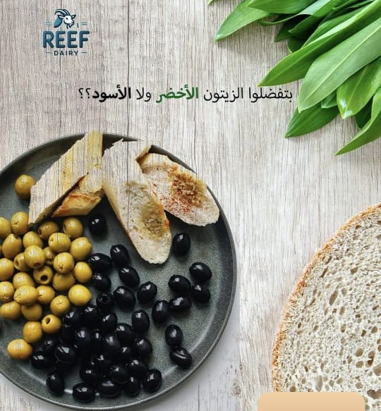 زيتون رصيع بلدي